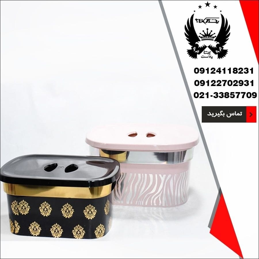 پخش عمده باکس نگهدارنده چاپ دار رزمن