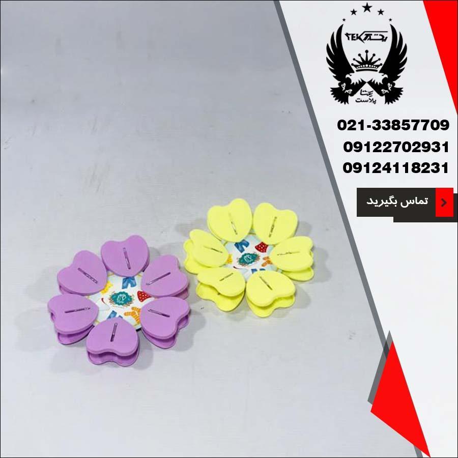 طراحی منحصر به ‌فرد گیره قلبی Ev Style